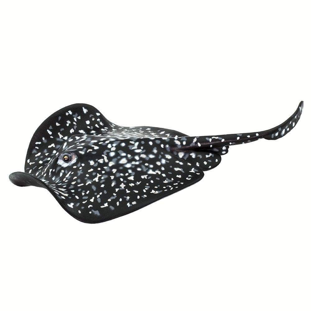 Marble Ray Toy-1