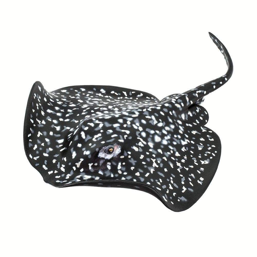 Marble Ray Toy-3