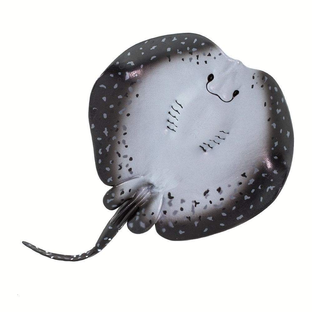 Marble Ray Toy-4