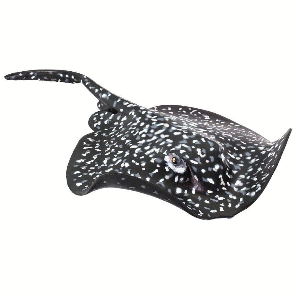 Marble Ray Toy-0