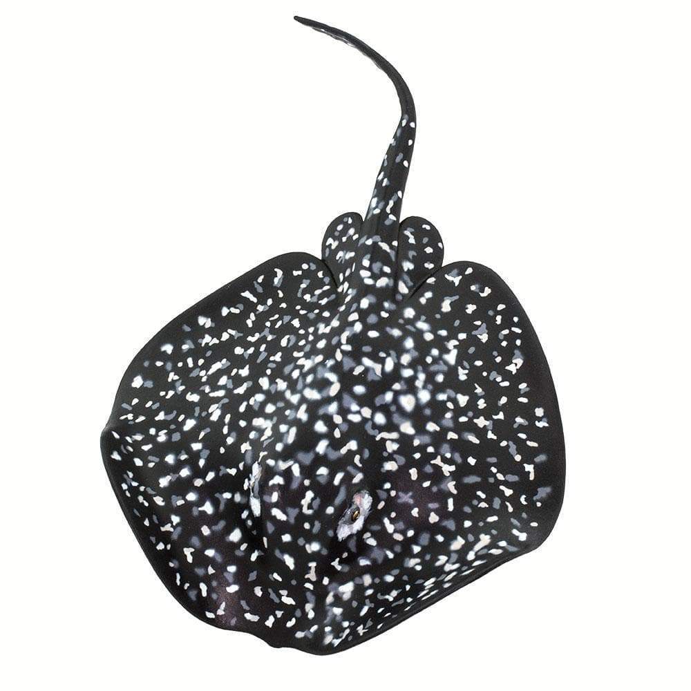 Marble Ray Toy-2